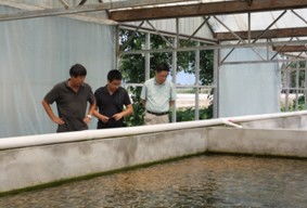 北京水產技術推廣站開展循環水養殖試驗與水質改良劑研發